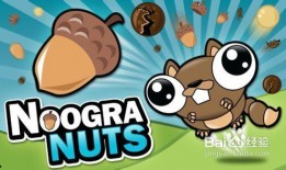 娱乐吃瓜小松鼠小说下载,揭秘小说世界中的趣味下载之旅