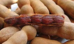 酸角带货主播娱乐吃瓜,酸爽酸角带货新风尚